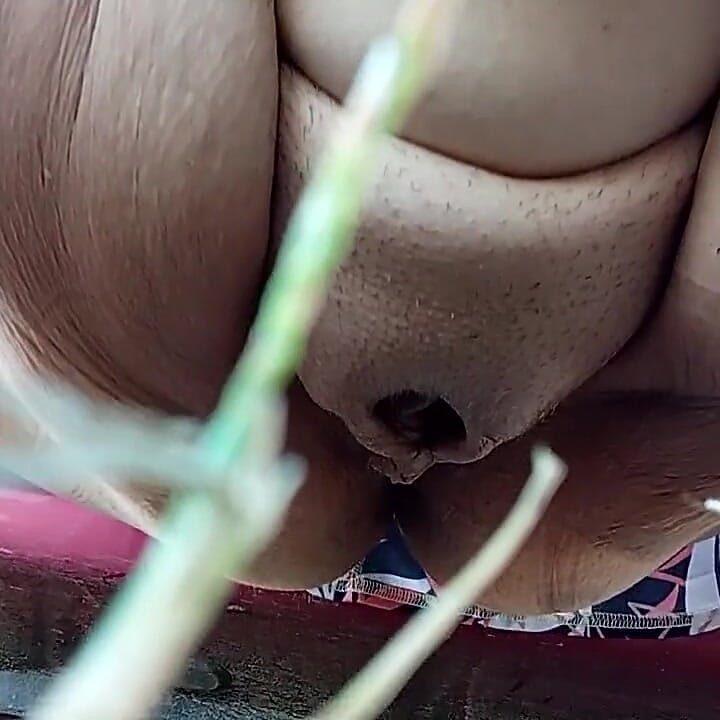 Muste Pissing