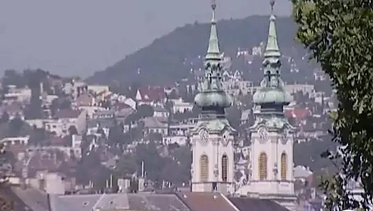 Шлюха, принимающая два члена