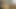 A heartwarming home video of the maneuvering masterpiece of a German shepherd