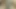 Indian Desi hot long dick sucking and  fucking