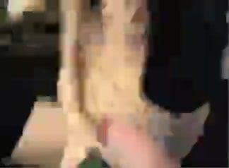 Nerdy Cam Girl