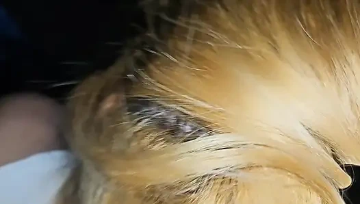 Hotblondygirl netflix and chill turns into rough sex