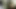 Kaia kane dan michelle thorne bermain dengan dildo besar