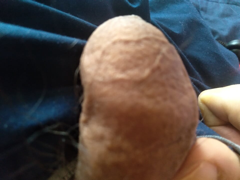 My dick gets really hard when I'm alone.