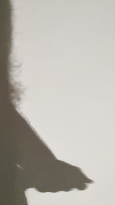 Shadow play