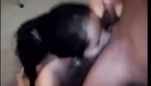 Birkaç güzel fahişe yarak emiyor