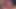 Cumshot in mouth after a superb