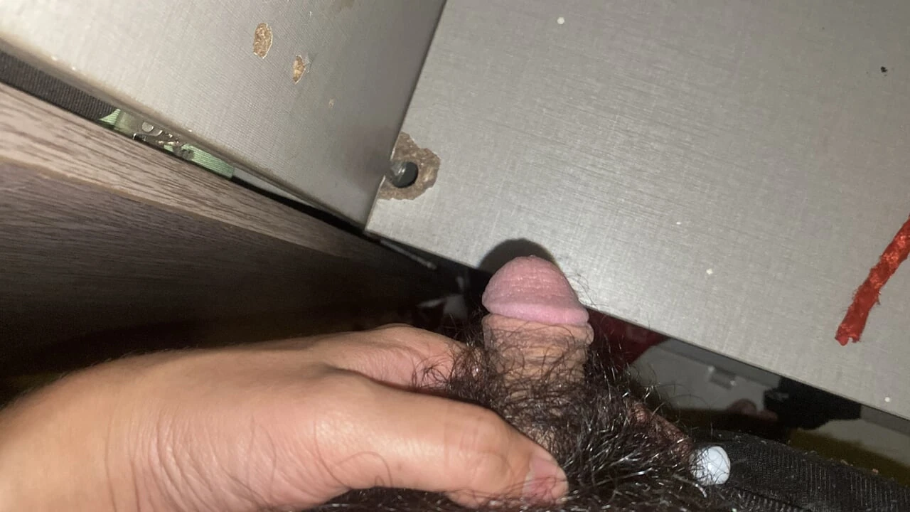 クローゼットで中出ししている間、静かにしていようとしています