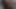 Ladyboy Cumshot 2019