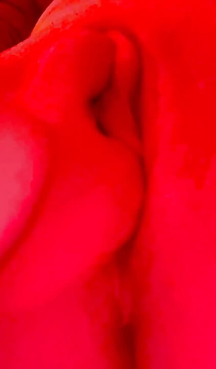 از من استفاده کن