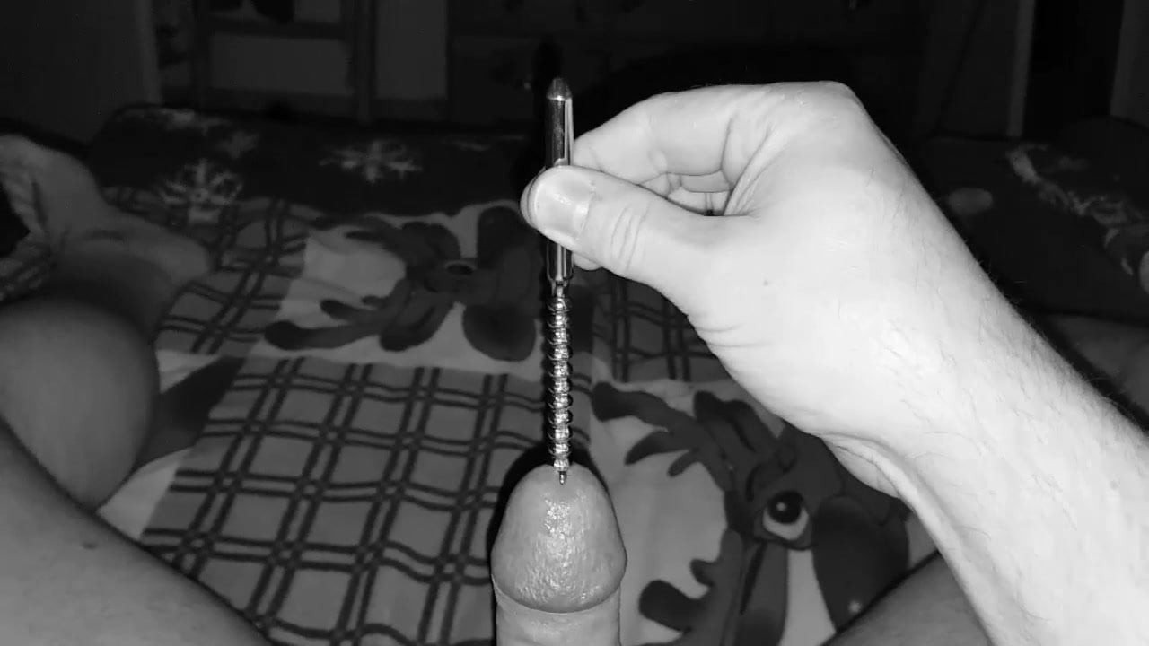 딜레이터위치센