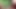 イキせてねだ