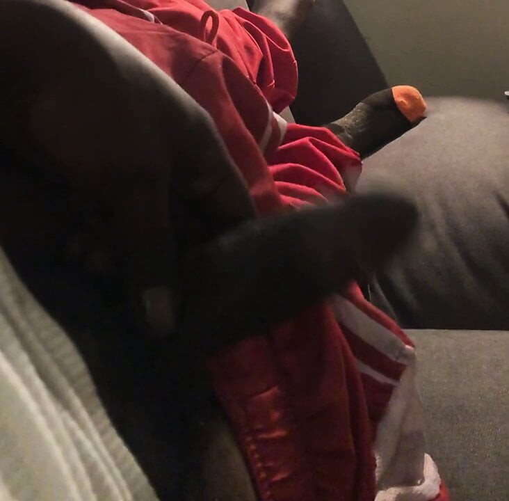 Bbc