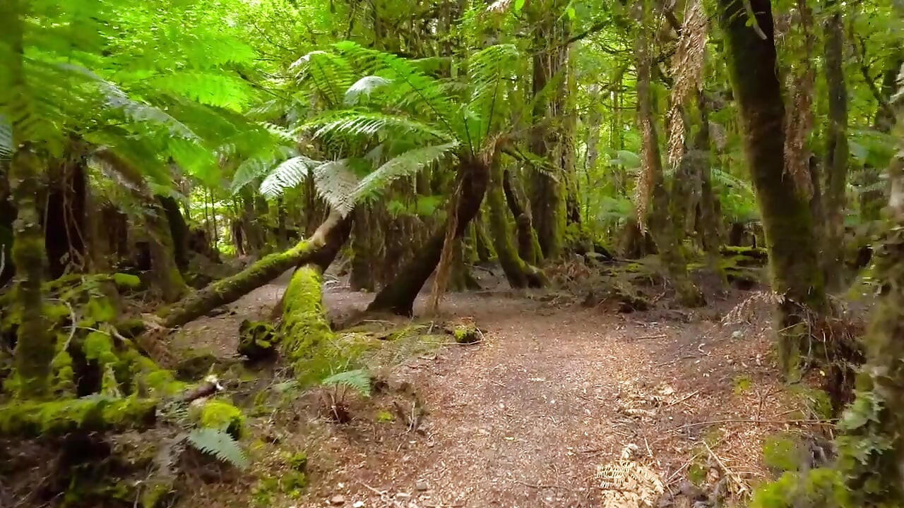Jeg gjorde rent i huset, jeg var på chefen, og min ryg gjorde meget ondt, min chef gav mig lindring, Full Hindi Viral Video