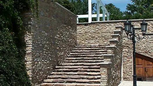 A young girl in pigtails is the bitch of the house