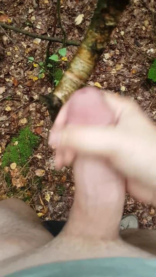 Wank in the woods and cum on a tree