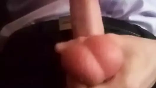 Lysy 01