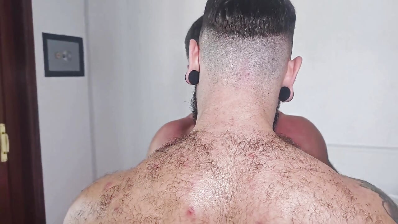 Two Bearded Bulls. One Unforgettable Session.