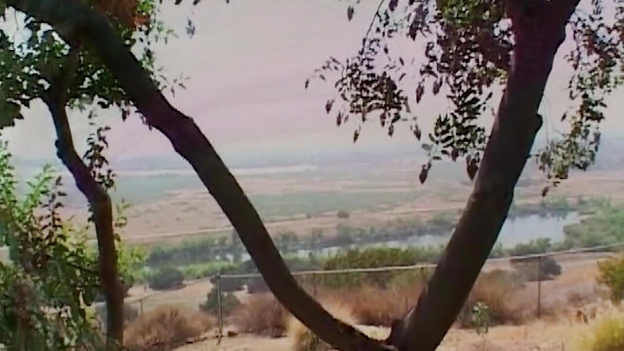 hemmungslose Sehnsucht eskaliert wenn Lust alles übernimmt