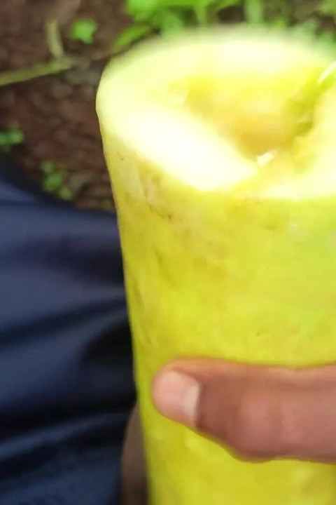 Desi Crna Zemlja