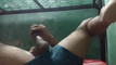 Pregled videozapisa