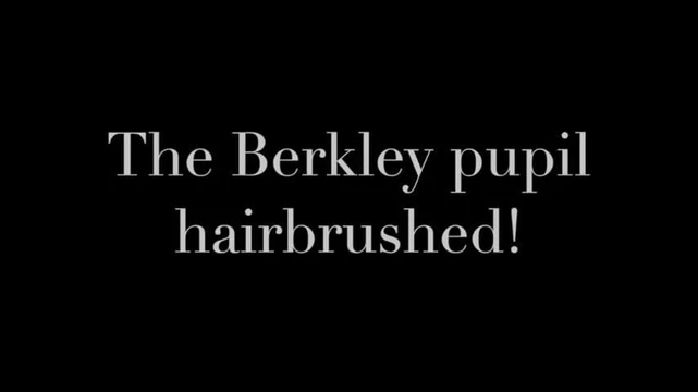 Hairbrushed.mp4