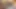 I want someone to swallow my cum