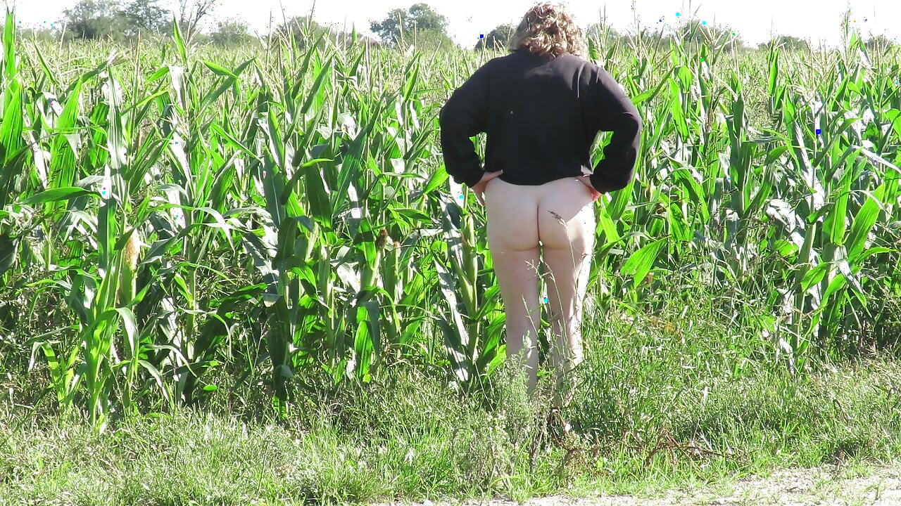 Patricia Corn Field'da