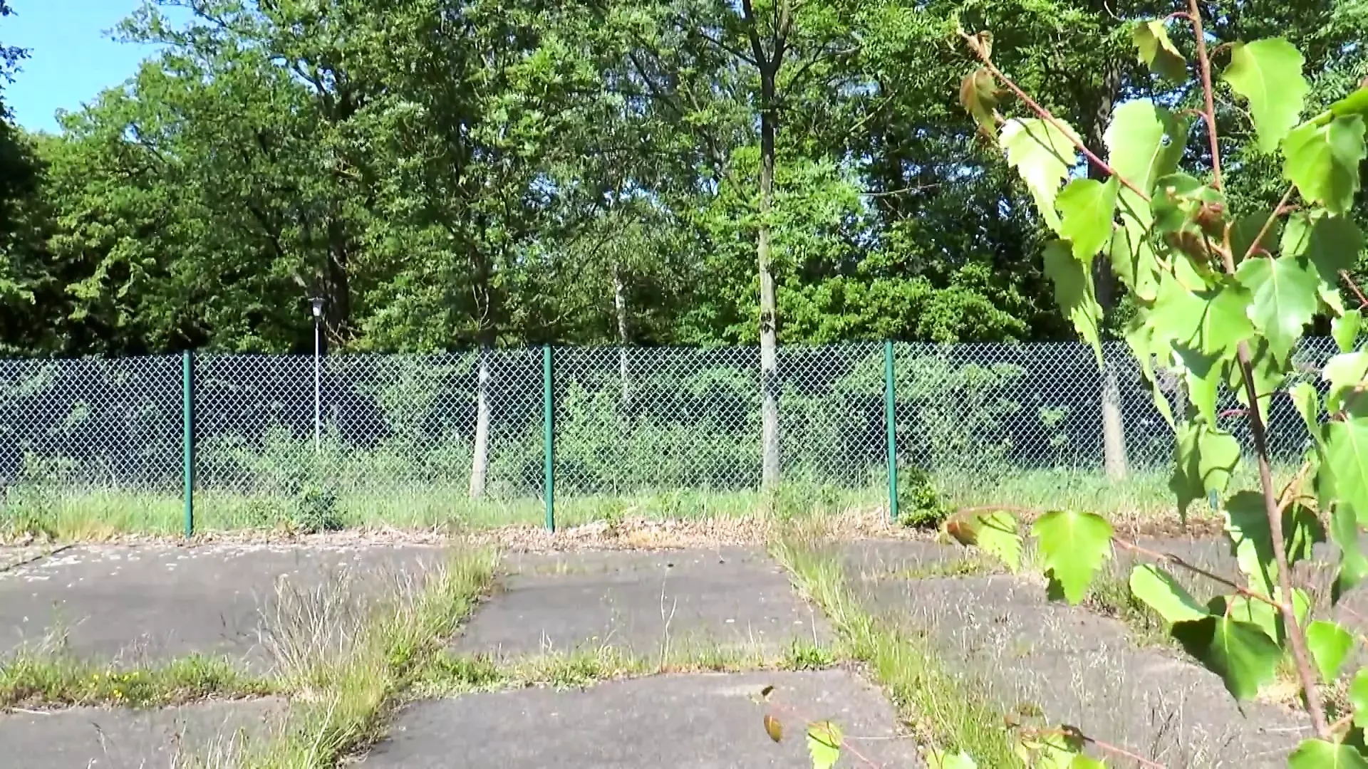 Neviđajuće muškarce jebu napaljeni anđeli sa ogromnim sisama