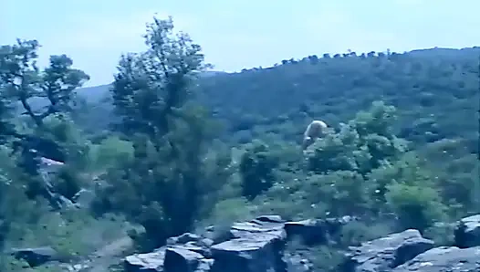 Сексуальная сеть Суперфрау Geheimcode (1995)