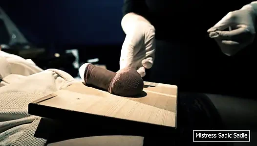 İlk Kez Topları ve İğneyi Meşe Palamudunuzdan Çiviliyorsun.