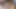 Trans sürtük komşusunu sikiyor ve götünü döllüyor - prettyboi2000x