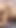 Hintli kız ve erkek arkadaş mms xxx viral video, desi güzel köylü kız seks videoları, Hintli güzel kız xxx... | Klip 1