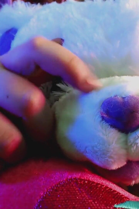 Valentinstag Asmr