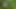 Young wife undresses and walks naked in a forest park