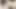 New video 2024-01-29 15:40:44