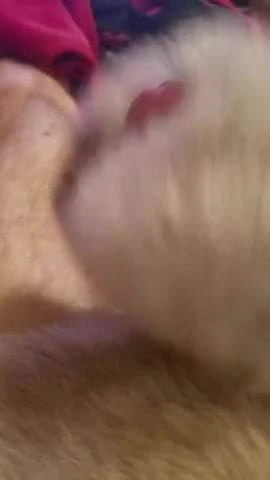 Fur jerk again