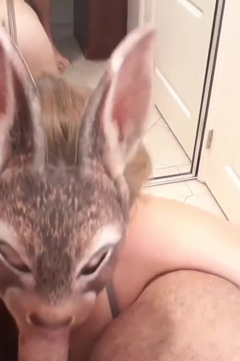 Bunny Blowjob