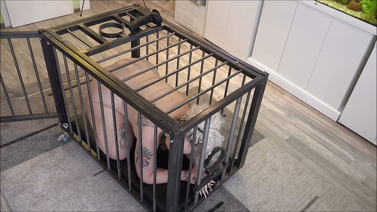 Sex Slave Used for My Pleasure