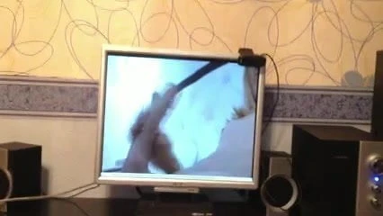 blowjob