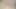 Uncut dick masturbated like circuncised cumming for you