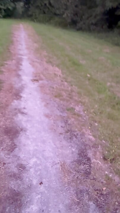 Dogging spot risky barefoot nude walk