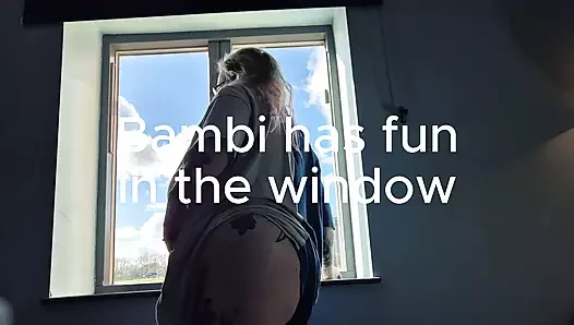 Bambi in the Window