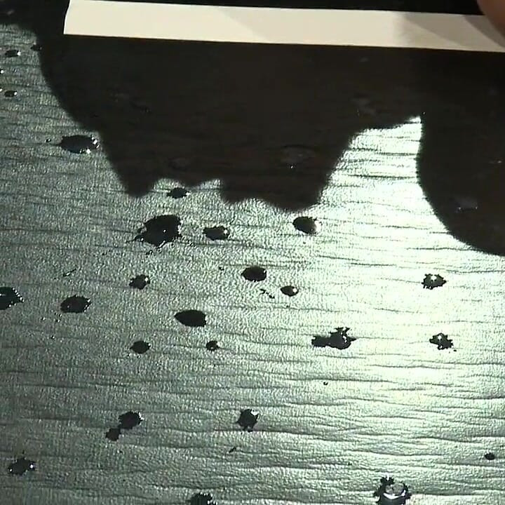 キャメロン・アダムズ対ジャンニ・ルカ