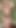 Do you think my boobs are cute