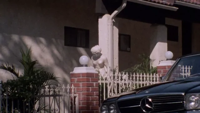 Physical Attraction (1984)