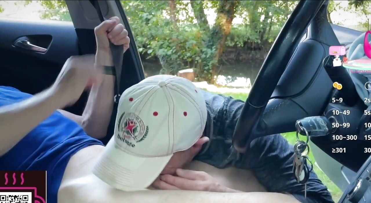 Open Door Car Blowjob in the Park