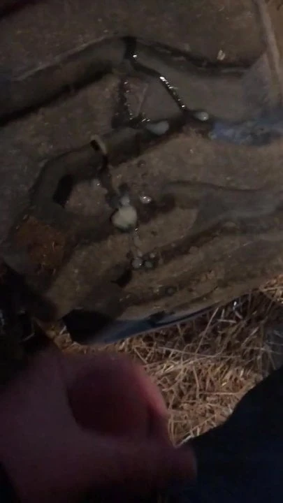 farmer cum on tractor tire