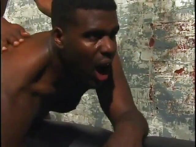 Black gay dude sucks his partner's tool before fucking