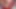 Red Xxx отдыхает от упаковки подарков